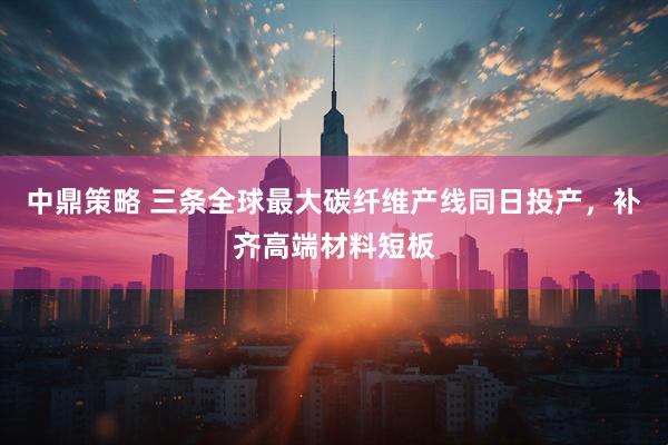中鼎策略 三条全球最大碳纤维产线同日投产，补齐高端材料短板